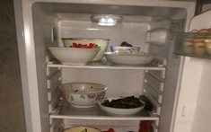 Có nên rút điện tủ lạnh khi đi xa?