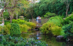 Cách Solaria Rise chinh phục thế hệ an cư mới lẫn giới đầu tư