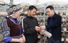 Xã Púng Luông: Ưu tiên duy trì các tiêu chí nông thôn mới có tác động trực tiếp đến đời sống sản xuất, sinh hoạt của người dân