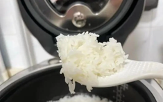 Có nên để nồi cơm điện luôn cắm điện ở chế độ giữ ấm?