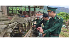 Tình cha - con vượt qua biên giới: Ấm áp nơi phên dậu Tổ quốc