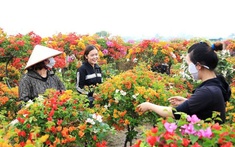 Phù Đổng bước vào kỷ  nguyên mới: Xây dựng Nông thôn mới hiện đại, số hóa và bền vững