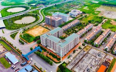 Tin vui: Hàng trăm căn hộ được chào bán với giá chỉ từ 260 triệu đồng