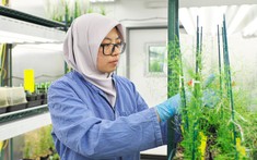 Các nhà khoa học hàng đầu thế giới hiến kế nuôi sống 10 tỷ người tại Tuần lễ Khoa học Công nghệ VinFuture 2025