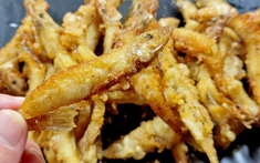 5 loại cá ít xương, không thể nuôi nhân tạo, giá rẻ mà bổ nhất nhì