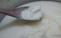 Sữa chua “tách nước” có phải đã hỏng?