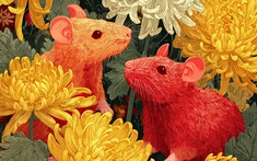 2 tuần nữa: 2 con giáp "đạp trúng hố vàng", phúc lộc song toàn