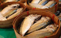 3 phần nhiều kim loại nặng nhất trên thịt cá