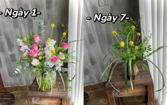 Chơi hoa kiểu mới: Set mix thả bình - bí quyết để cả tuần không gian vẫn ngập sắc tươi