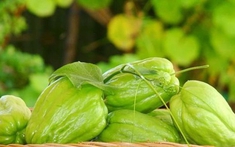 Đến mùa đông là phải ăn loại rau được cho là chứa lượng selen ‘gấp 50 lần hành tây’, chị em đổ xô mua vì nhiều lợi ích không ngờ