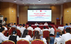 Tập huấn kỹ năng trợ giúp pháp lý cho nạn nhân bạo lực gia đình và người dân tộc thiểu số 