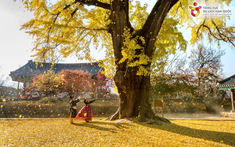 Hàn Quốc – Điểm đến lý tưởng cho cả gia đình