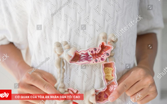 Lợi khuẩn (probiotics) - Chìa khóa hỗ trợ con ăn ngon, hấp thu tốt