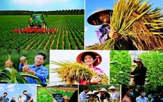 Vai trò của nông dân trong phát triển nông nghiệp bền vững: Một số vấn đề lý luận và thực tiễn ở tỉnh Cao Bằng