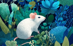 Trước thềm Đông chí, 3 con giáp này hưởng phúc từ Thần Tài, công việc hanh thông, tiền bạc cũng rủng rỉnh