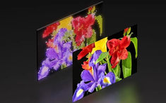 HKC ra mắt màn hình RGB Mini LED đầu tiên trên thế giới