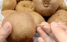 Cắm 1 cây tăm vào quả kiwi, hiệu quả "vàng mười" khiến nhiều người bất ngờ