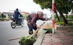 Tôi phát hoảng khi biết gia cảnh bà cụ bán rau mà ngày nào tôi cũng mua ủng hộ