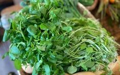 4 loại rau dân dã ở Việt Nam được ví bổ như sâm