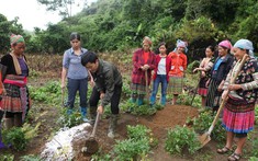 Đẩy mạnh nhân rộng các mô hình giảm nghèo bền vững giai đoạn 2021 – 2025 tại Quảng Trị