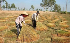 Chương trình mục tiêu quốc gia giảm nghèo bền vững tại Hưng Yên đạt nhiều thành tựu