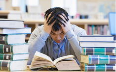 Vì sao hàng nghìn người chọn Hiền Nhung TOEIC thay vì tự học lan man?