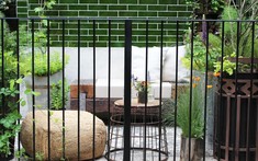 Trồng cây ban công kỵ nhất 5 sai lầm này: Tiếc là nhiều gia chủ chẳng mấy quan tâm