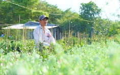 Mô hình giảm nghèo tạo sinh kế, nâng cao thu nhập và thay đổi tư duy người dân