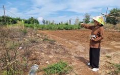 Chị chồng cho con tôi miếng đất, mẹ chồng nghe tin đòi làm một việc hết sức vô lý trên mảnh đất ấy