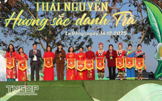 Lễ hội 'Thái Nguyên - Hương sắc danh trà' 2025