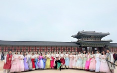 Đặt tour Tết Nguyên Đán 2026 tại Đất Việt Tour nhận ưu đãi đến 4 triệu đồng