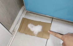 Mẹ tôi dạy: Chỉ cần 1 nắm muối ở góc bếp - không làm là mùi ám, dầu mỡ bám kín và bếp nhanh xuống cấp