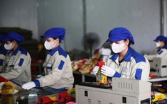 Miến dong Bình Liêu – Động lực xây dựng nông thôn mới