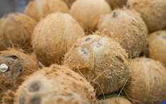 Top 6 loại trái cây dễ ăn sai cách nhất mùa đông