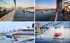 7 trải nghiệm nên thử ở Sydney khiến du khách Việt say lòng