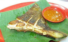 6 loài cá ăn được "nguy hiểm nhất thế giới", có tiền chưa chắc đã được ăn!