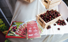 Cherry Úc khởi động mùa vụ 2024/25 với hành trình đưa Cherry tươi từ Úc đến Việt Nam chỉ trong 72 giờ