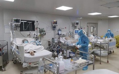 Sự thật rùng mình về bi kịch mới của người độc thân: Không phải nghèo, mà là tử vong vì… không có người ký!