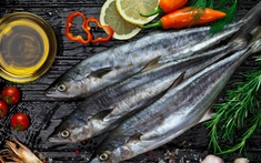 6 loại cá chứa nhiều thủy ngân bậc nhất