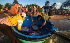 Bivina ra mắt diện mạo Tết, cùng người dân miền biển vững bước trên hành trình mới