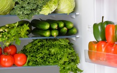 6 món đồ để tủ lạnh là sai lầm nghiêm trọng của 90% gia đình Việt - hãy bỏ ra ngay!