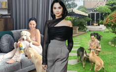 Phú bà này chi 65 triệu mỗi tháng để nuôi chó, khi bị quản lý chung cư nhắc nhở, cô mua lại cả khu để thoải mái dắt chúng đi dạo
