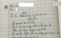 Học sinh lớp 3 viết văn tả cô giáo "hơi béo, cao lều khều, trán nhiều nếp nhăn", đọc đến câu kết thì ai cũng đứng hình