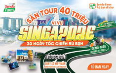 Chị em rủ nhau mua siêu thị online, săn chuyến đi Singapore miễn phí