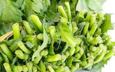 4 loại rau "không bao giờ bị phun thuốc trừ sâu", nhất là cái số 1