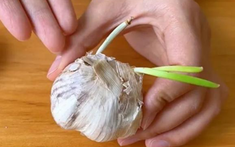 5 thực phẩm "dinh dưỡng vơi một nửa", thậm chí sinh chất độc khi nảy mầm, nhà nào cũng có và rất hay để quên