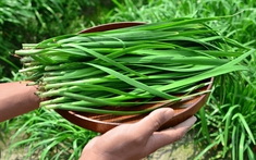 5 loại rau "không cần phun thuốc trừ sâu", nhất là cái số 1