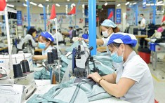 Ngành công nghệ toàn cầu chao đảo trước làn sóng sa thải kỷ lục: Bước chuyển mình hay cuộc khủng hoảng nhân lực thời AI?