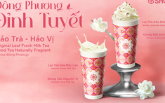 Đông Phương Đỉnh Tuyết – Phong vị trà nguyên lá đậm chất Á Đông mới