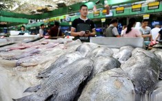 Ra chợ gặp 5 loại cá này, tươi ngon, rẻ mấy cũng đừng mua